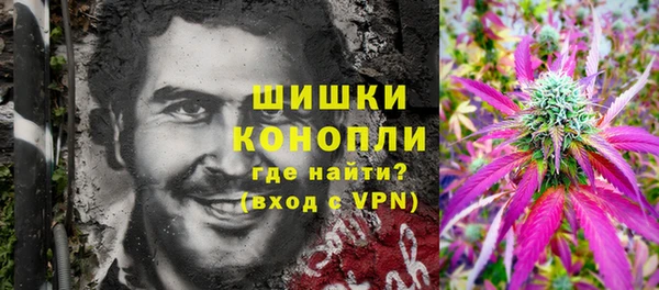 ГАЛЛЮЦИНОГЕННЫЕ ГРИБЫ Аркадак