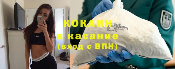 ГАЛЛЮЦИНОГЕННЫЕ ГРИБЫ Аркадак