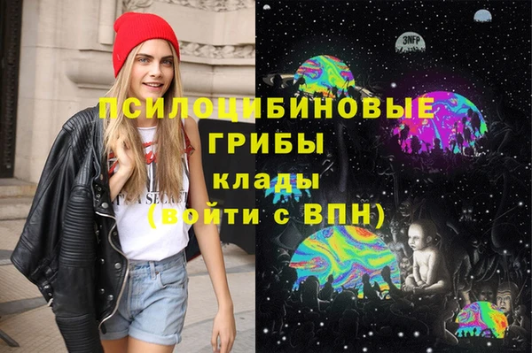шишки Алексин