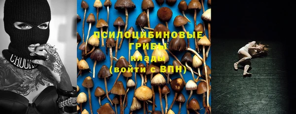прущая мука Алзамай
