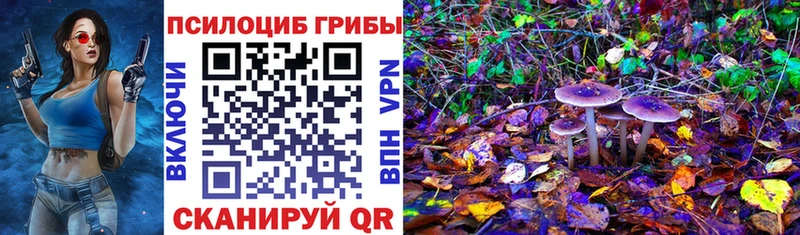 Псилоцибиновые грибы Psilocybine cubensis  Купить где  Ельня 